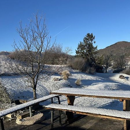 Lovely Apartment In Nature With Sauna! Postojna Bagian luar foto