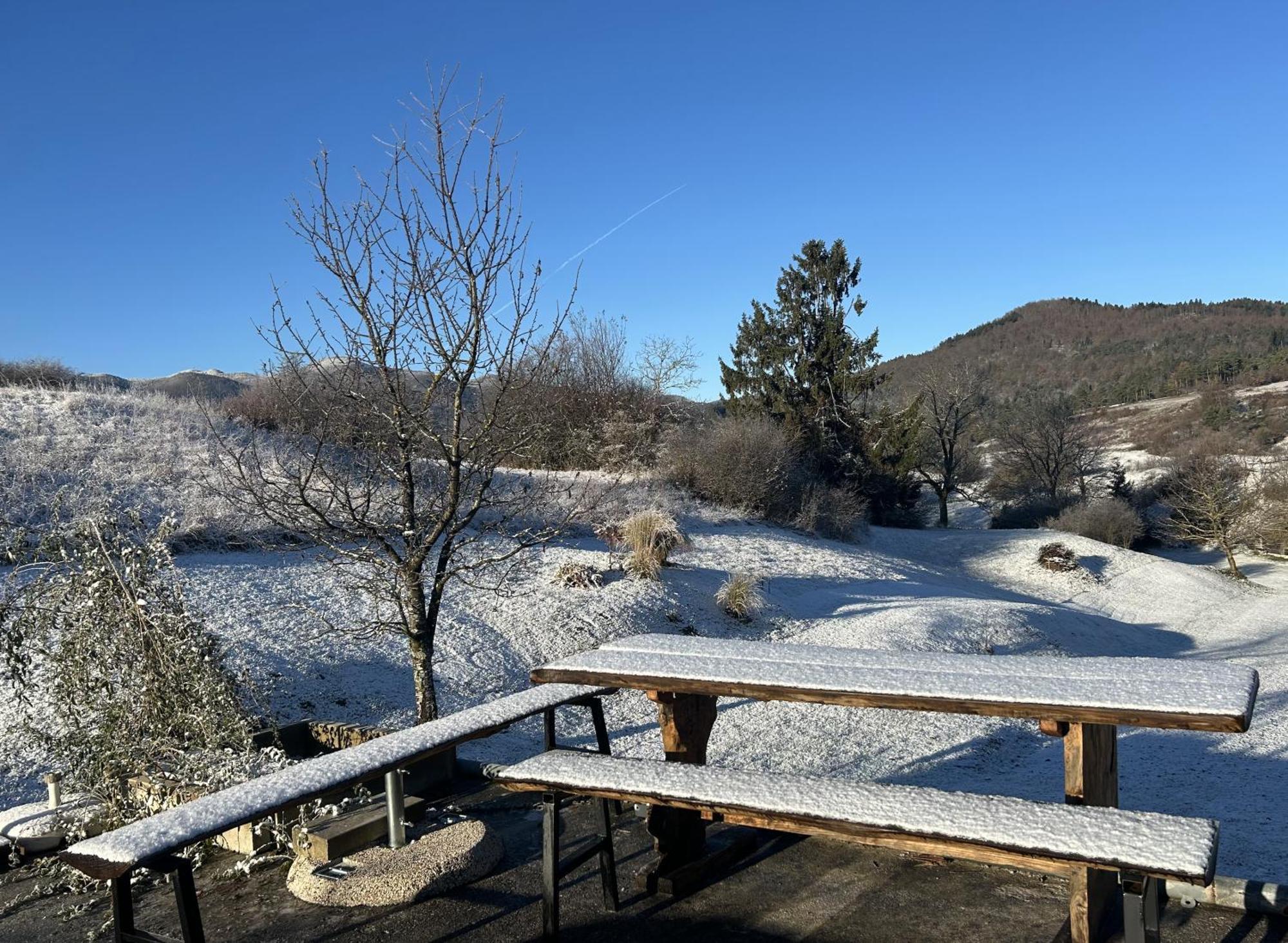 Lovely Apartment In Nature With Sauna! Postojna Bagian luar foto